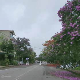 Chủ cắt lỗ sâu lô đất 115m2 full thổ cư nằm tại cổng Học Viện Phòng Không Không Quân