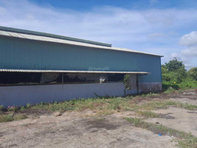 Chính chủ cần bán nhà xưởng mặt tiền DT lớn 12550m2 Quốc Lộ 62, huyện Thủ Thừa, tỉnh Long An
