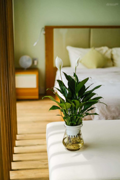 Chính chủ cần bán sớm condotel có sổ hồng lâu dài, thu về vài trăm tr mỗi năm