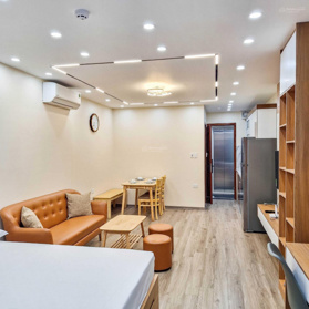 Cho thuê căn hộ mới, đẹp, nội thất hiện đại 50m2 1N1K ban công rộng, ô tô đỗ cửa Vũ Thạnh, Đống Đa