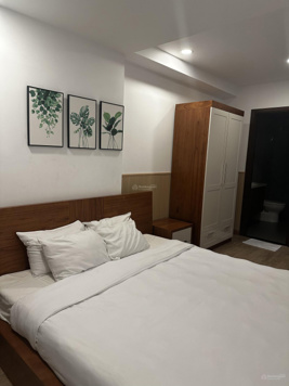 Cho thuê cc cao cấp ocen view Sơn Trà 77m giá 10tr vào ở ngay 2pn full nội thất