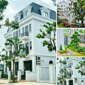 Biệt thự Solasta Mansion Dương Nội 170m đến 266m xây cao 4 tầng 5 phòng ngủ nhận nhà luôn