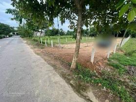 Cần bán nhà vườn rộng gần 2000m có 250m đất ở cách đường Hoàng văn thái đúng 1,5km đường rộng 7m