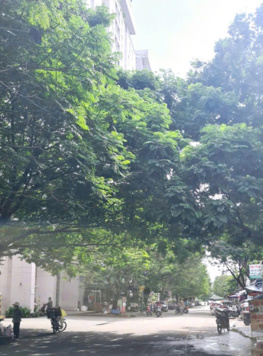 Chính chủ cần bán gấp lô đất tại Khu Dân Cư Khang An, Phường Phú Hữu, TP.Thủ Đức, Pháp lý sổ hồng