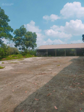 Cực shock-6.000m2 xưởng-container vào - giá chỉ nhỉnh 3tr/m2. Sẵn ngàn m2 nhà xưởng. Sóc Sơn-HN