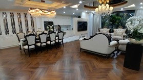Hot - Bán căn góc 4PN + 3WC diện tích 225m2 + 70m2 sân vườn, chung cư TSQ, hơn 12 tỷ.