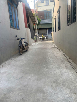 49.5m Quảng Bị sổ đỏ hoa hậu. Giá chỉ 1.x tỷ (x mầm non ạ)