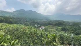 Chính chủ bán lô đất ngay chân núi Ba Vì, tại thôn Dy, xã Minh Quang, huyện Ba Vì view tuyệt đẹp