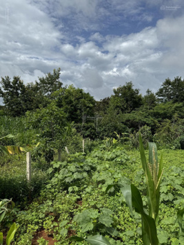 Bán đất thổ cư sát QL20, diện tích 300 m2 xã Ninh Gia, Đức Trọng, Lâm Đồng