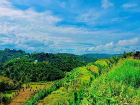 Hơn 8000m2 đất sẵn bơ, sầu riêng chỉ 6 tỷ/ mảnh