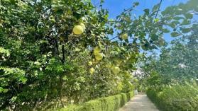 Đất gần sông Hương TP Huế tiềm năng