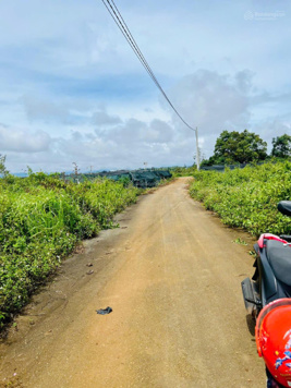 Chính chủ bán lô đất hẻm 169 Nguyễn Đình Chiểu - Lộc Phát