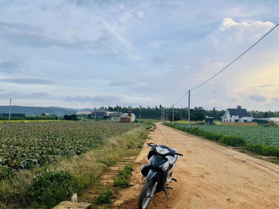 Bán lô đất thổ cư trung tâm thị trấn Thạnh Mỹ giá chỉ 5tr/m2 cắt lỗ bán nhanh