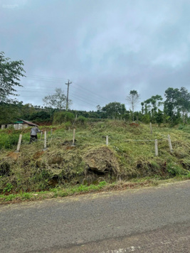 Chính chủ đất mặt tiền đường nhựa liên xã 10mx53m, thổ cư 100m2, cách UBND xã Tân Lâm 500m