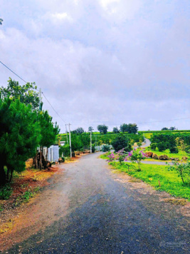 Đất chính chủ view resort Đôi Dép tại Lộc An, chỉ từ 780 - 850 triệu/nền