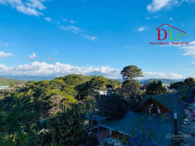 Bán đất Ba Tháng Tư phường 3 Đà Lạt view rừng thông cực hot. Cách Hồ xuân hương chỉ 1.5km