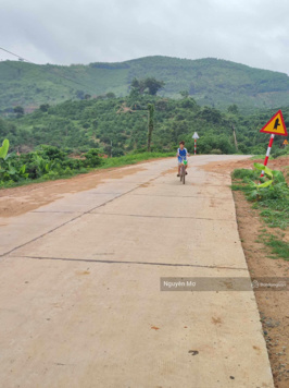 Cần bán vườn cà phê thu hoạch mạnh tại Đắk Nông. 0353 491 195