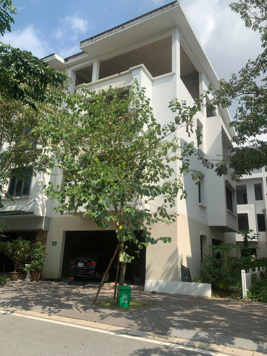 Bán căn xẻ khe Vườn Tùng Ecopark Hải Dương 4 tầng hướng Nam 180m2 MT 10m, giá 6x tr/m2, đã có sổ