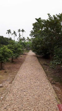 Chính chủ bán lô đất biệt thự nhà vườn xã Kim Tân, Huyện Kim Thành, Hải Dương