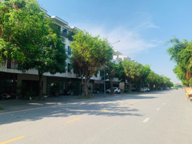 Bán căn thô trục chính Hải An Ecopark Hải Dương, đường 24m DT 95m2 hướng Đông Nam giá 9,x tỷ