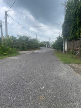 Bán đất nghỉ dưỡng Bông Trang - Xuyên Mộc, 1009m2, đối diện resot bumking cách Quốc Lộ 55 chỉ 50m