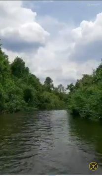 Đất vườn nghỉ dưỡng, DT 36100m2. Xã Hòa Bình Huyện Xuyên Mộc, Bà Rịa, mặt tiền sông 500m, 550tr/sào