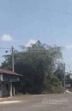 Đất Nghĩa Thành - Châu Đức cần bán 300m2 full tc ( 5x60) chính chủ chưa qua đầu tư