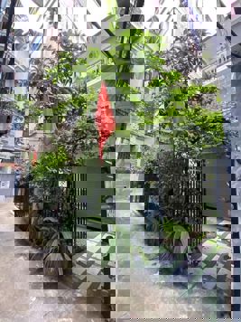 Bán nhà Nguyễn Đình Hoàn 90m2 - 4 tầng - MT 3.6m