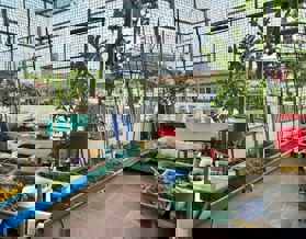 ❤️ SIÊU PHẨM - ĐỊNH CÔNG THƯỢNG - PHÂN LÔ - Ô TÔ ĐỖ CỬA.