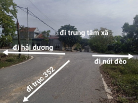 Bán đất mặt đường liên thôn xã Chính Mỹ, Thuỷ Nguyên