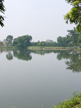 Cần bán mảnh đất 10.000m2 thổ cư và trồng cây lâu năm giá 7.2 tỷ có thương lượng tại Tân Yên BG