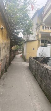 Bán đất trung tâm quận Đồ Sơn gần chợ Đình Đoài giá 900 triệu