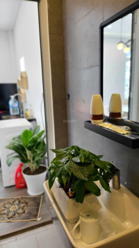 Bán homestay 3 mặt tiền đường nhựa ô tô hẻm 27 Lê Hồng Phong