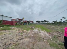 Bán nhà vườn 5000m2 có 300m2 Thuận Thiên, Kiến Thuỵ, giá 4, XX tỷ. LH 0975 015 533