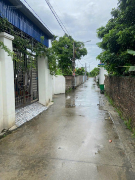 Lô đất mặt đường thông tại Tất Xứng, An Hồng, An Dương, Hải Phòng