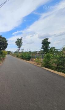 Bán 1.553m2 đất Đá Bạc - Châu Đức đường nhựa xe tải