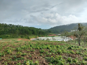 4 lô 1000m2 đến 1200m2 Xuân Thọ, Đà Lạt, nghỉ dưỡng