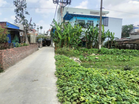 Chào nhà đầu tư 3 lô đất liền kề tại trung tâm xã Thủy Sơn thủy nguyên Hải Phòng