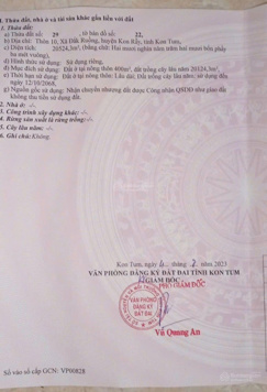 Nhà vườn nghỉ dưỡng hơn 2hecta, nhà kiên cố, cây ăn trái đủ loại