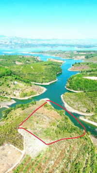 Đất giáp hồ làm homestay, farmstay, 1 hecta, giá sốc 135 triệu/ sào (1000m2), chỉ 1 lô duy nhất