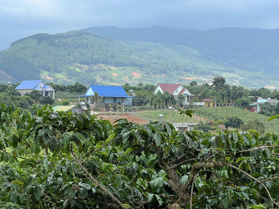 (Ngộp) bán nhà vườn ven Đà Lạt 4000m2, 400m2 thổ cư 3 tỷ 7