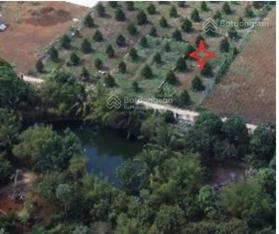 Cần bán gấp lô đất 450m2 vị trí vàng tại trung tâm Kim Long