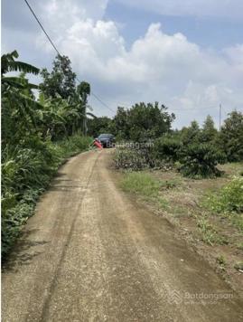 Kim Long - Châu Đức diện tích 1000m2 có 25m MT bê tông khu dân cư