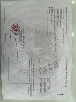 Bán đất đấu giá xã Ngũ Lão, huyện Thủy Nguyên