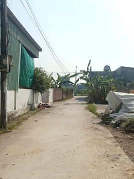 92.6m thôn Giữa Hoa Động,TN,HP Mặt tiền.4,5m Hướng.Nam Giá.1 tỷ xx Ngõ hơn 3m oto đi vèo vèo,