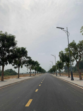 Bảng giá đất nền Biên Hòa New City mới nhất Tháng 10/2024 - LK từ 14.5 triệu/m2, BT từ 11 triệu/m2