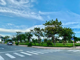 Giỏ hàng KĐT Mỹ Gia, căn góc, biệt thự, liền kề đường 27m giá đầu tư, LH: 0889 335 337 gặp Thủy