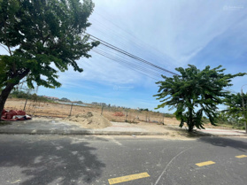 Hàng ngộp - Chính chủ bán biệt thự mặt sông Hàn giá chỉ 36tr/m2