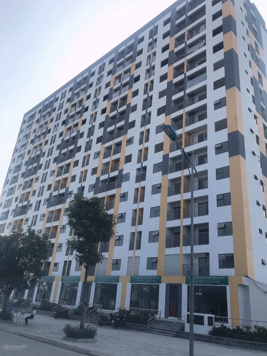 Mua bán nhà ở xã hội (NOXH) Evergreen Tràng Duệ - Hải Phòng