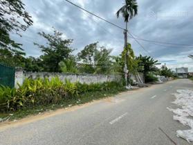 Bán 4 nền biệt thự 351m2 mặt tiền Lê Hồng Nhi, quận Cái Răng gần chùa Ông Một chợ nổi Cái Răng